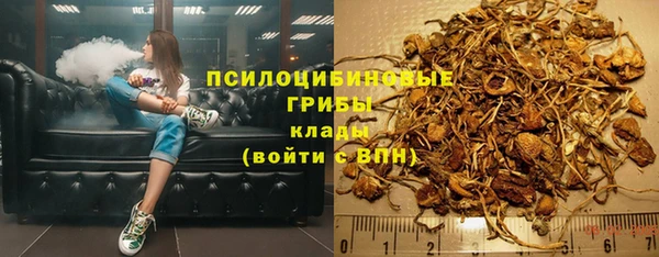 шишки Богданович