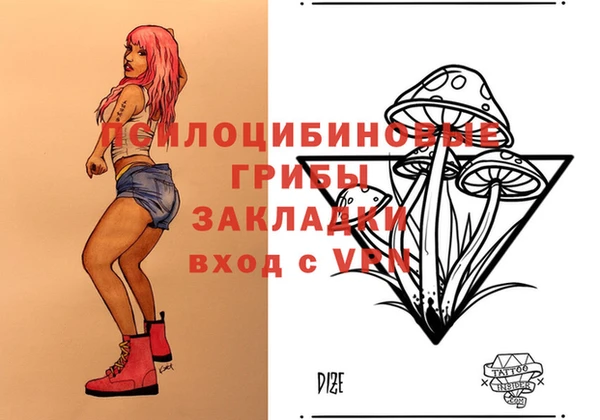 хмурый Бронницы