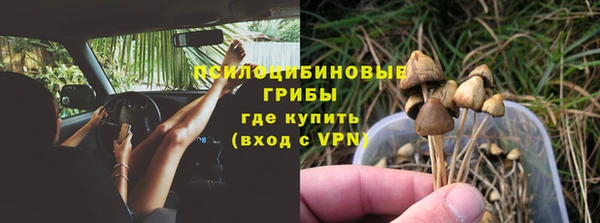 хмурый Бронницы