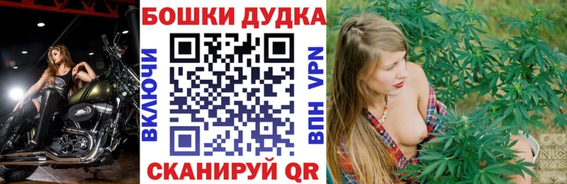 Конопля индика Мегион